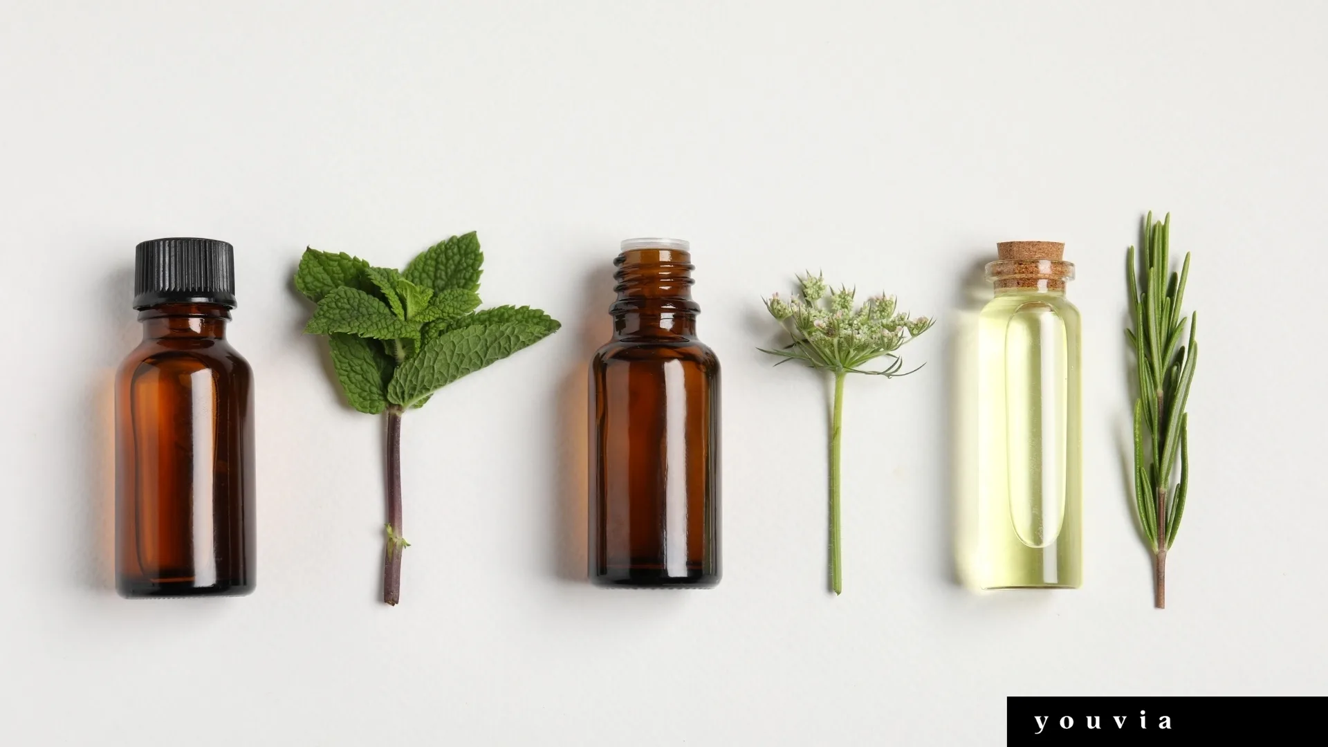 Welt der aromen